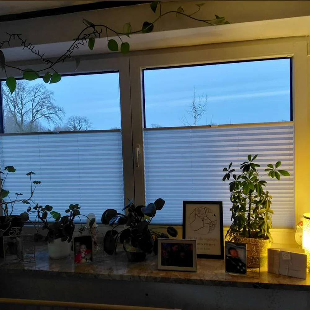 Zwei Fensterflügel mit Plissees, unten geschlossen und im Oberlicht offen, auf der Fensterbank Pflanzen und eine Lampe