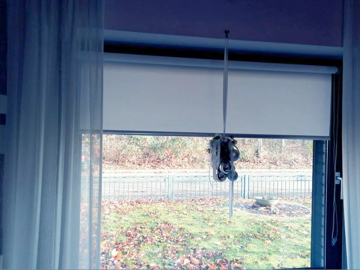 Fenster mit weißem Rollo und transparenter Gardine mit Blick in den Garten